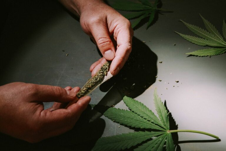 20 Years of Cannabis Experience: How We Select Every Product at Silk Road NYC