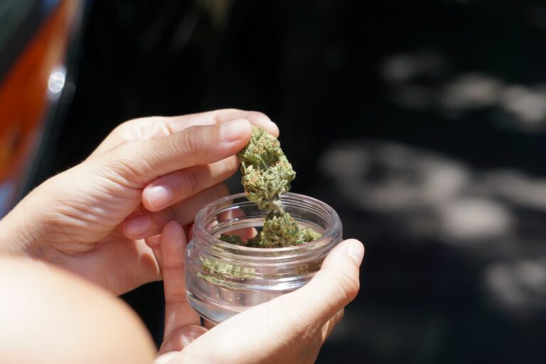 The Ultimate Guide to Buying Legal Weed in Queens for First-Time Visitors
